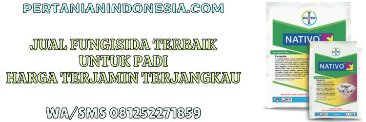 jual,jual fungisida,jual fungisida terbaik,jual fungisida terbaik untuk padi,pertanian indonesia